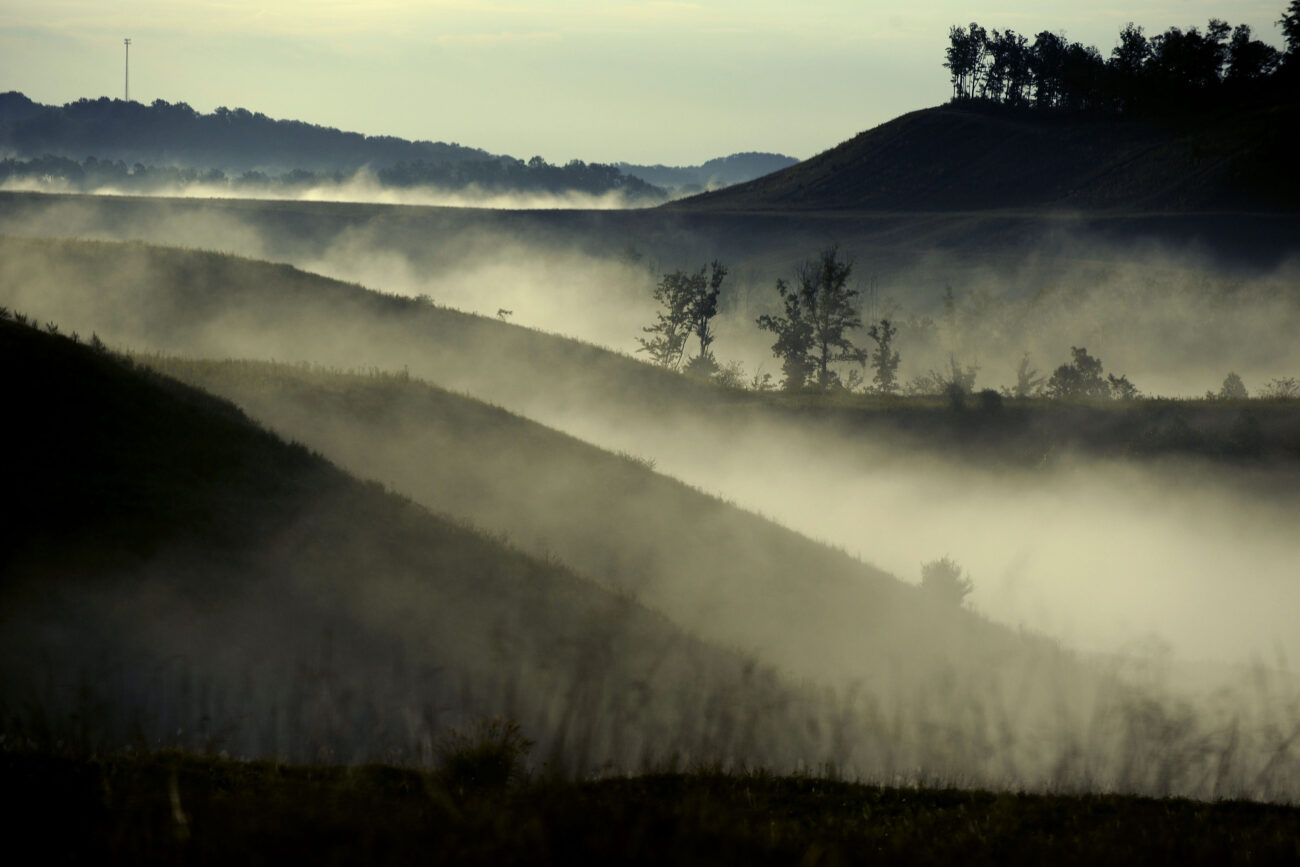 Fog surrounds a patch of forest on top on a reclaimed strip mine in Knott County Thursday morning. .