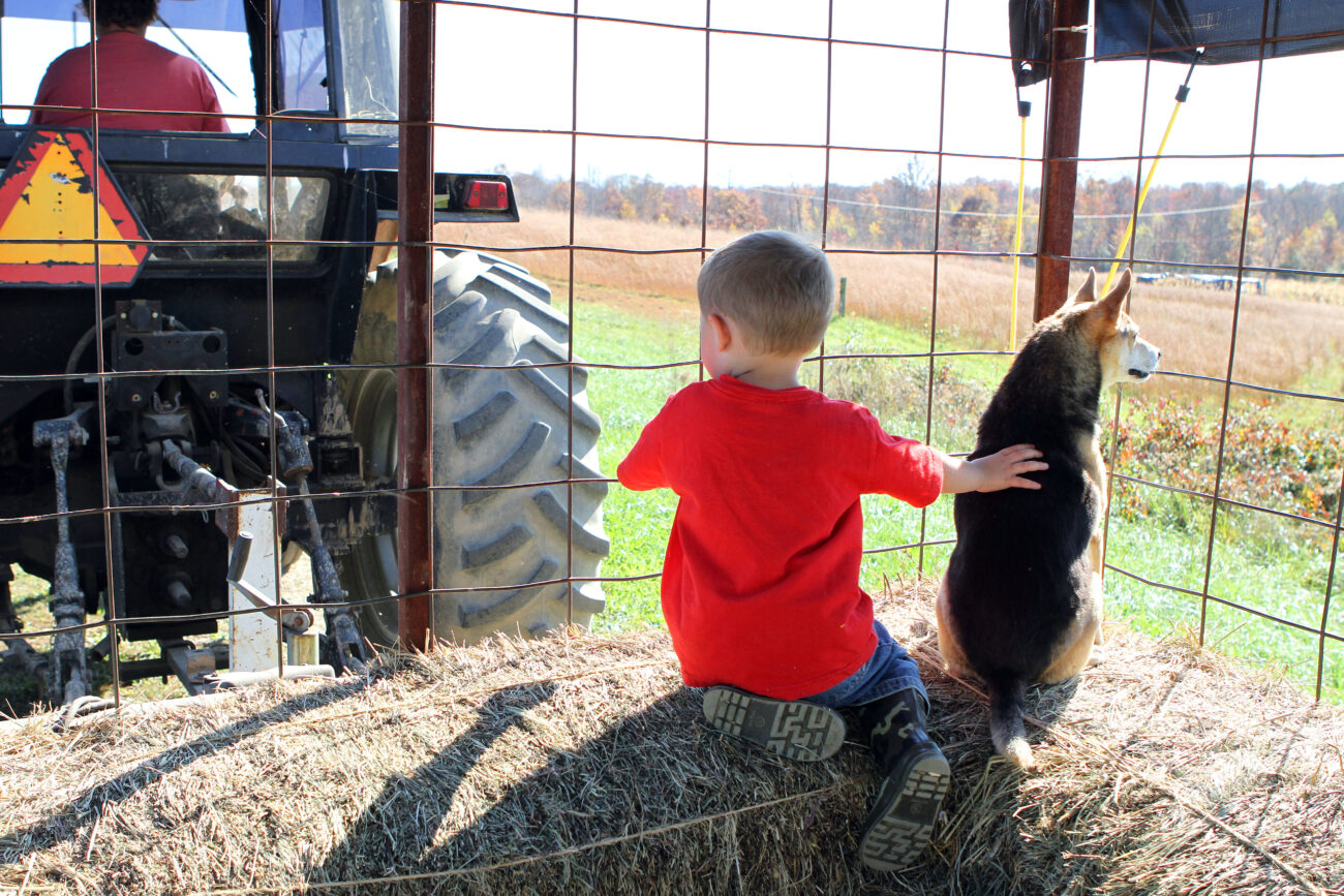 Reece Frasier holds on to his puppy as the tractor and trailer rattle down a dirt farm road. Photo by Alex Holt