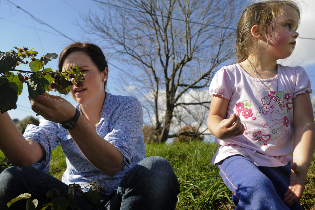 Amanda Waterstrat picks raspberries with Allie Horn, 4, near the Waterstrat's house near London, Ky. Waterstrat was babysitting Allie while Allie's mother was in the hospital for pregnancy-related problems.