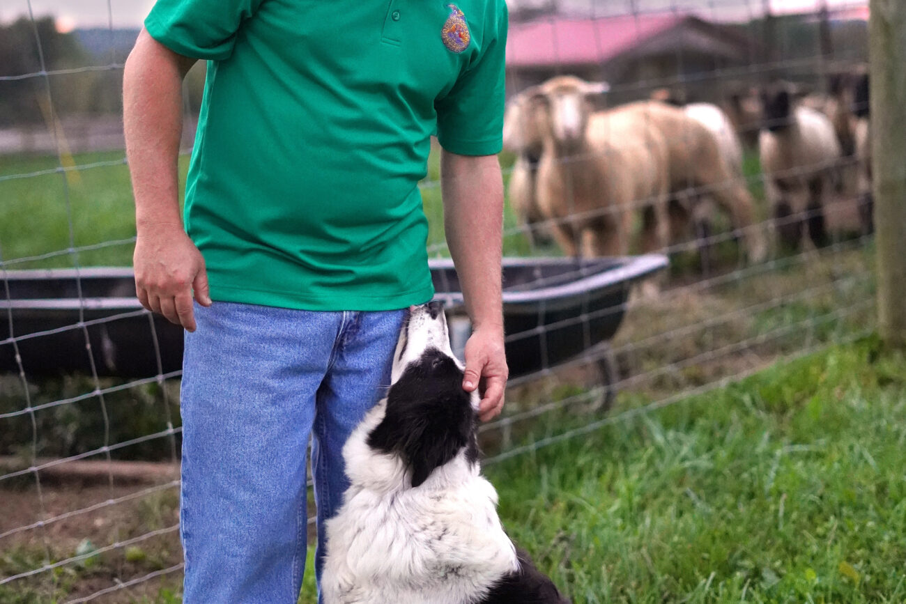 J.R. Zinners eight-year-old border collie named Riley loves to lean into her owners legs when shes out and about on Friday, Oct. 15, 2021, in Frankfort, Ky. Riley is related to multiple of the other dogs Zinner has had, and Riley has two daughters, Paige and Maggie, that live on the farm with her. Photo by Kaitlyn Skaggs