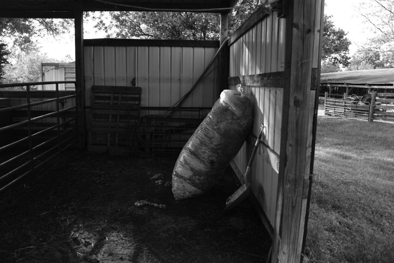 A large sack of Buckler-raised wool sits in the show barn in Cropper, Ky. on Thursday, Oct. 14, 2021. The wool gets sold to be made for military uniforms; Buckler Farms makes approximately six cents per pound of wool (Photo by Martha McHaney).