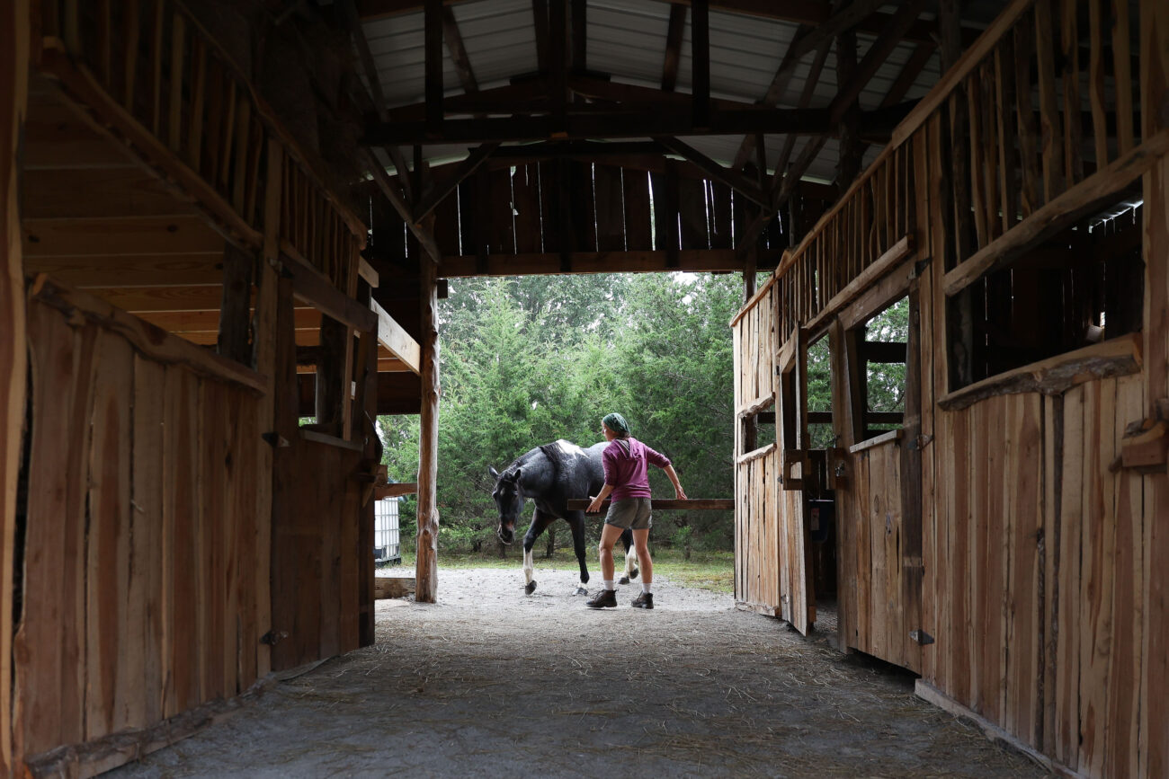 Chris Schimmoeller moves a plank of wood to let her horse, Huey, into her barn on Friday, Oct. 15, 2021, at a field on her property located off of Gregory Woods Road in Frankfort, Kentucky. The barn was built in spring 2021 using salvaged barn wood from Josephine Sculpture Park on Lawrenceburg Road. Photo by Jack Weaver