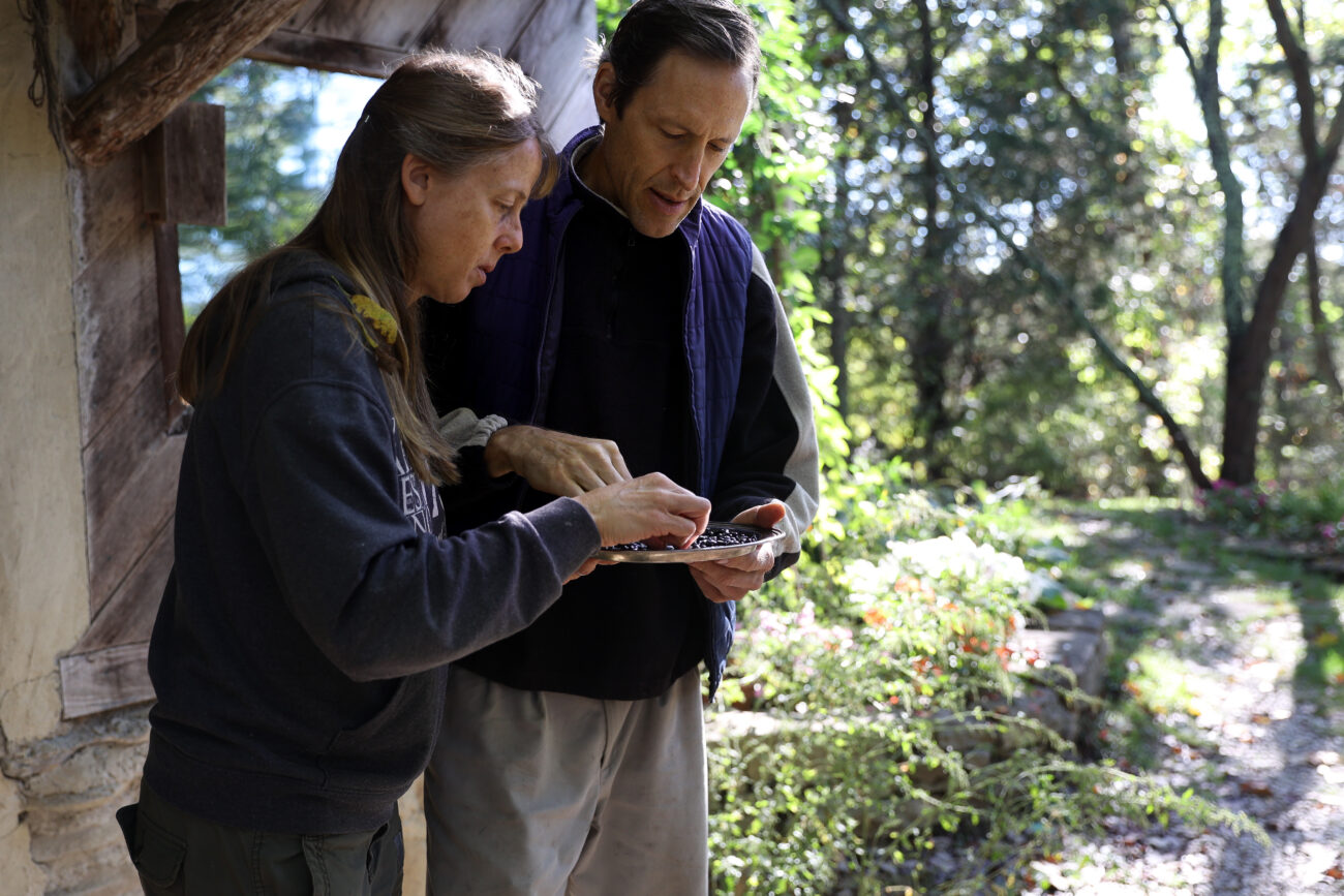Chris Schimmoeller and her husband, Joel Dufour, pick bad beans out of a plate of black beans on Saturday, Oct. 16, 2021, at their home off of Mount Vernon Road in Frankfort, Kentucky. The beans were grown in a garden on their land where they also grow vegetables and flowers. Photo by Jack Weaver