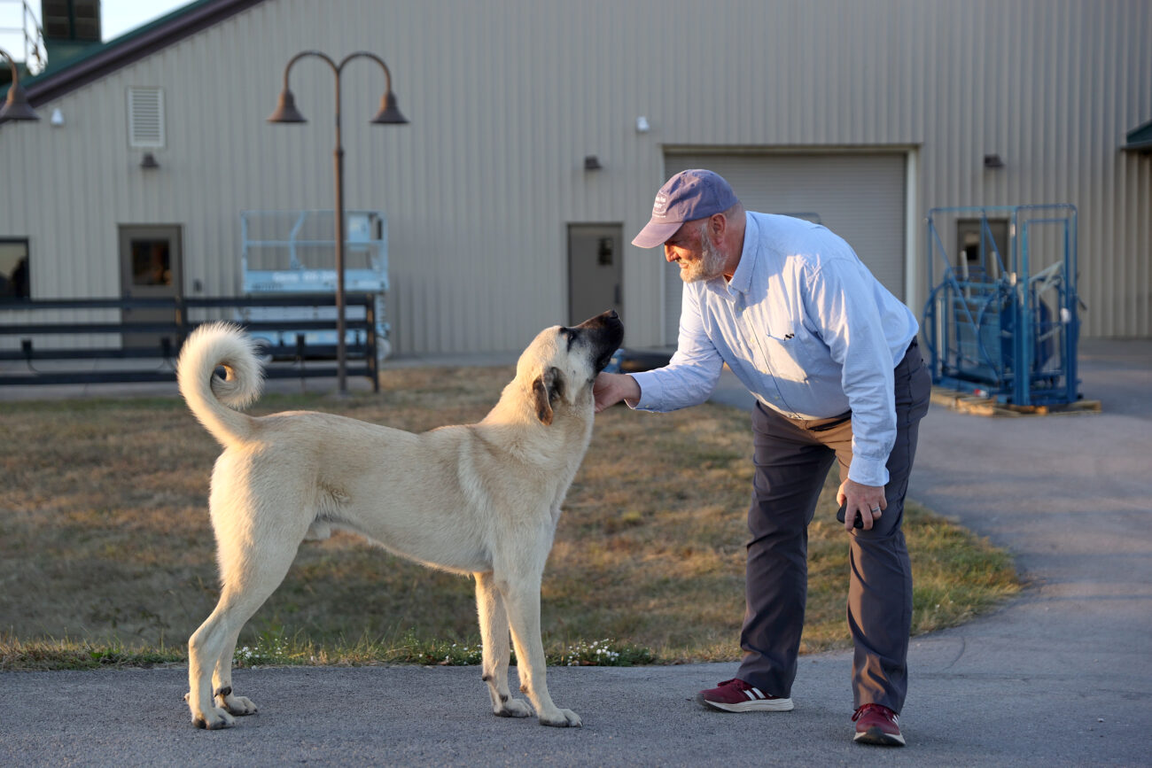 Gary Cosby pets Benson on Wednesday, Oct. 5, 2022, at the Harold R. Benson Research Farm in Frankfort, Kentucky.