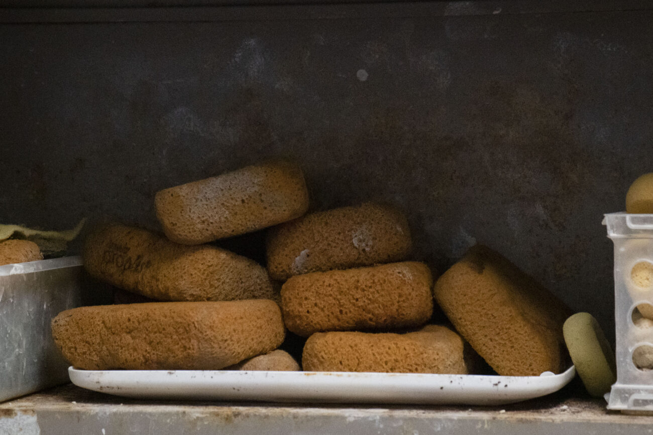 Sponges sit on a shelf at Broadway Clay in Frankfort, Kentucky on Saturday, Oct. 8, 2022. Photo | Brooklyn Walters
