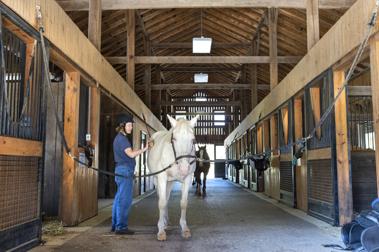 Julie, a student at the Stewart Home & School, brushes her horse, Casper, at the Stewart Home & School in Frankfort, Kentucky, on Friday, Oct. 7, 2022. Spending time at the horse barn on campus is one of several options students have for filling their class schedule.