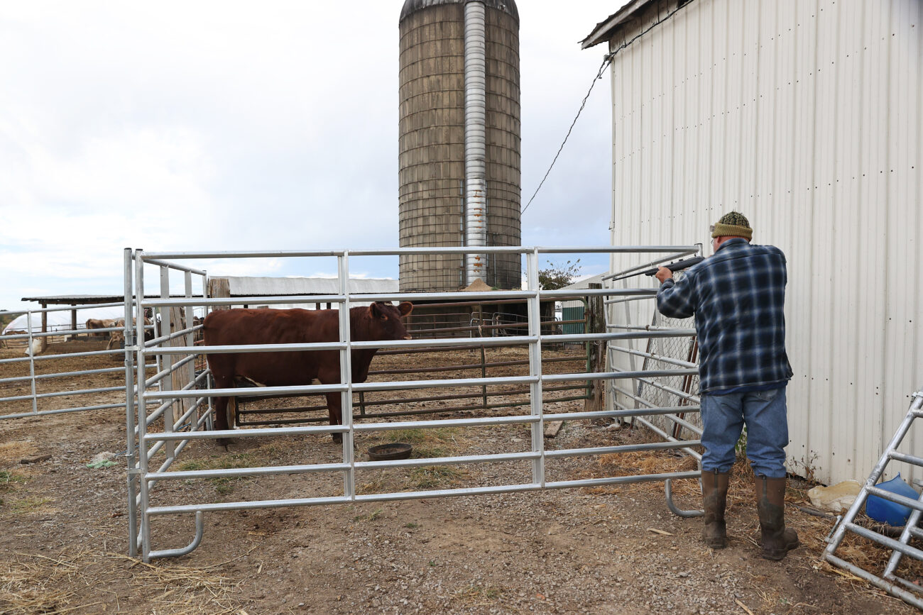 Rex Burkhead aims his .22-caliber rifle at a cow at Donnie Whites farm in Lawrenceburg, Kentucky, on Wednesday, Oct. 5, 2022. Photo by Abbey Cutrer.